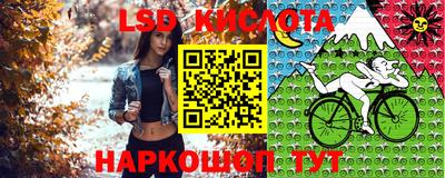 стаф Пенза